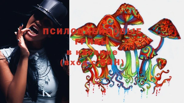 ECSTASY Алексеевка