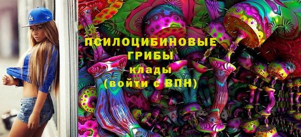 ECSTASY Алексеевка