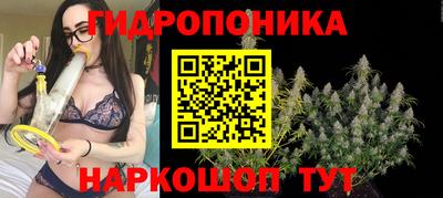 бошки Гай
