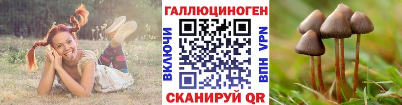сайты даркнета клад Феодосия Галлюциногенные грибы Psilocybine cubensis