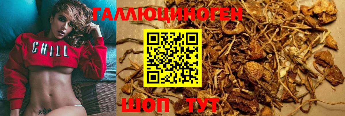 Галлюциногенные грибы Cubensis Феодосия