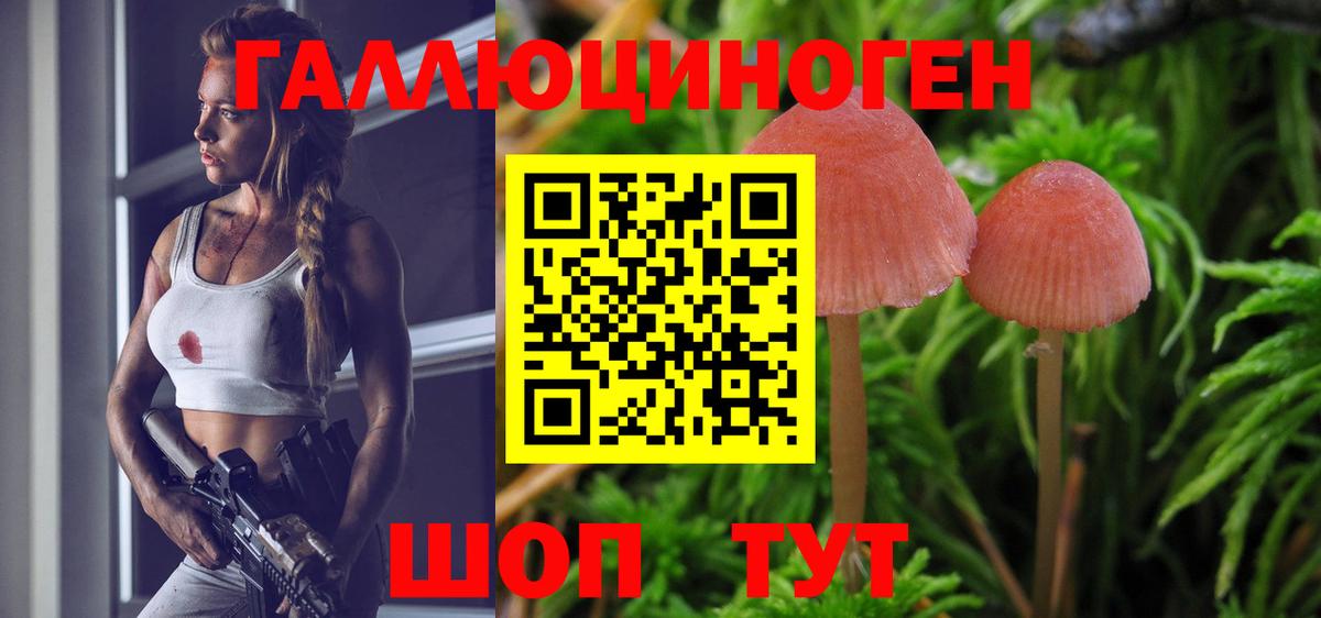 Галлюциногенные грибы ЛСД  Галлюциногенные грибы Psilocybe  купить наркоту  Феодосия  Вход с VPN 
