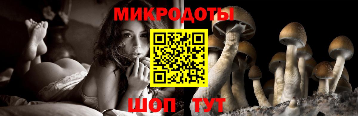 Галлюциногенные грибы прущие грибы  Псилоцибиновые грибы GOLDEN TEACHER  Вход с VPN  Феодосия 